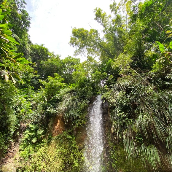 Meet your Posher, Simi - Picture 1 of 1